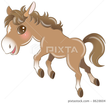 pony 8628604