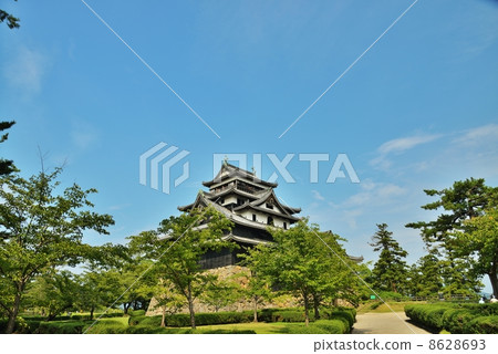 Matsue Castle Matsue Castle 8628693