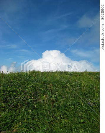 Summer sky and grassland vertical 8628902