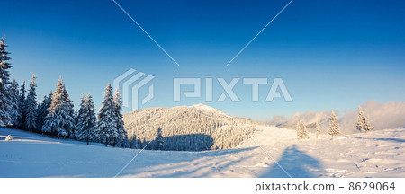winter winter 8629064