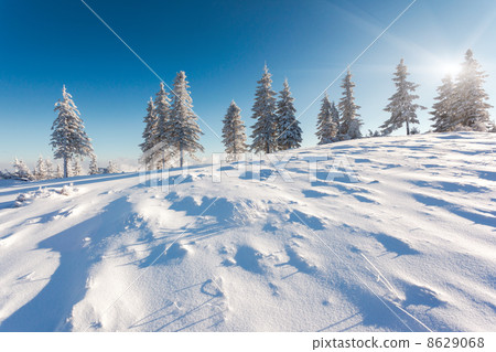 winter 8629068