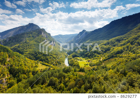 canyon canyon 8629277