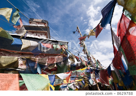 Praying flags at Buddhist monastery. India 8629788
