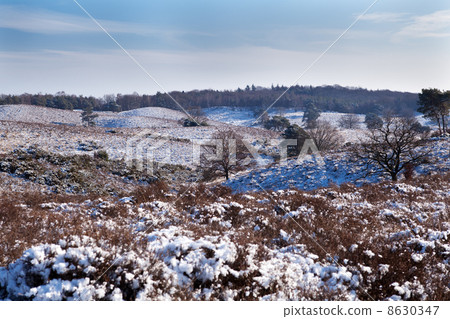 hills in snow in Netherlands hills in snow in Netherlands 8630347