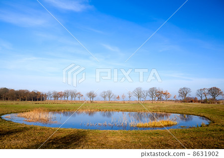 round shaped little pond 8631902