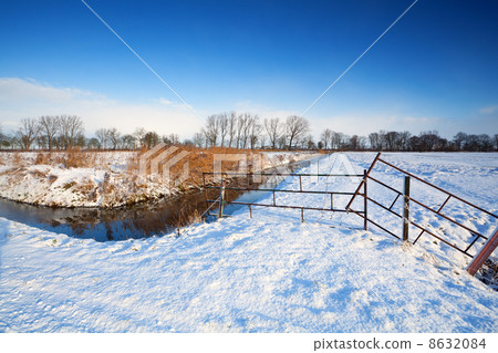 snow on Dutch pastures 8632084