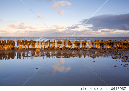 old wooden dike in Noeth sea 8632087
