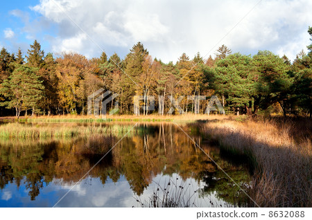 small pond in autumn forest 8632088