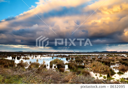 coludscape over swamp 8632095