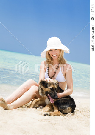 dog dog 8633755