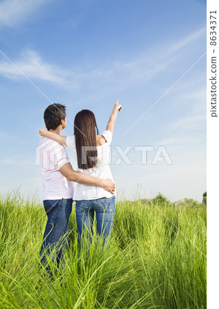 meadow 8634371