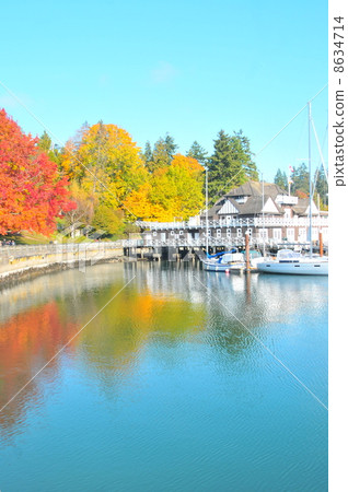 Fall of Vancouver 8634714