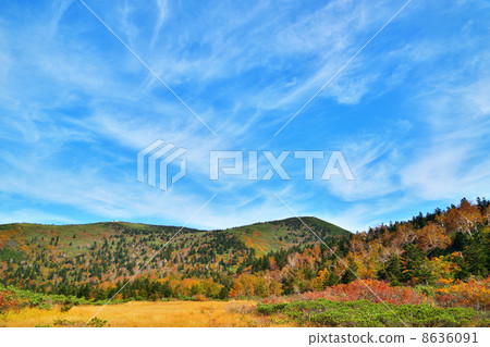 Mt. Hakkoda of Kusumi and autumn sky 8636091