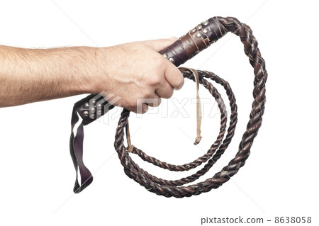 male hand holding brown leather whip isolated on white backgroun male hand holding brown leather whip isolated on white backgroun 8638058