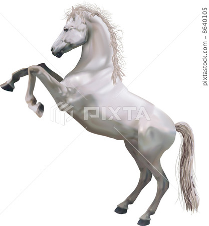 rearing horse illustration 8640105
