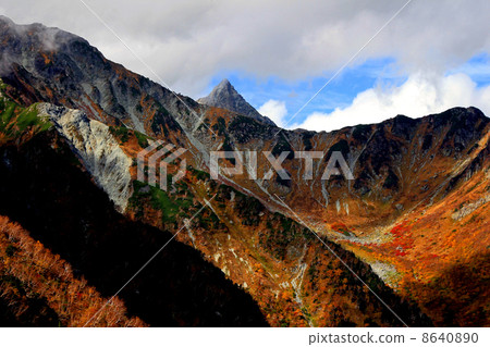 Fukuzawa curl's autumn leaves 8640890