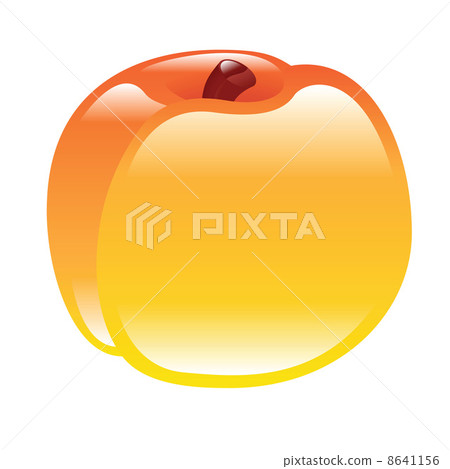 peach illustration 8641156