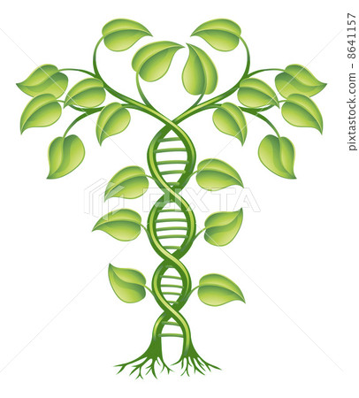 DNA plant concept 8641157
