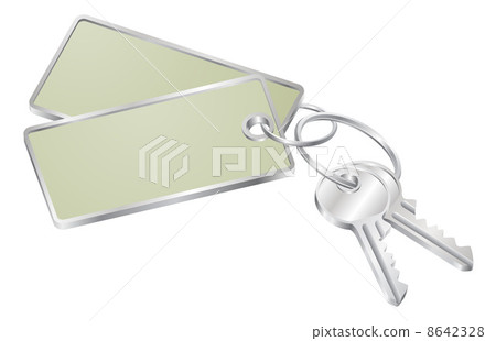 Two keys with blank tag for text Two keys with blank tag for text 8642328