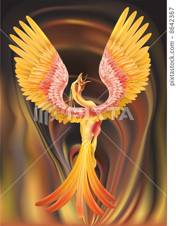 phoenix illustration phoenix illustration 8642367