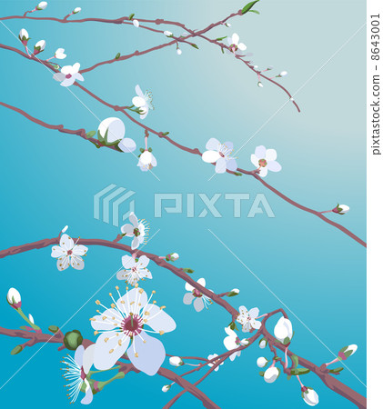 blossom background blossom background 8643001