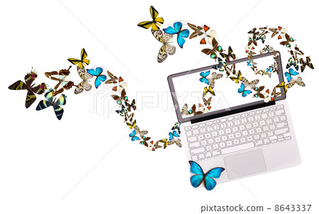 butterfly flying out from computer 8643337