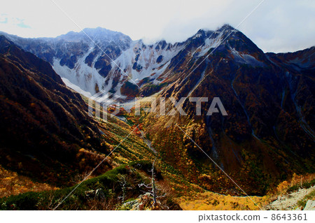 福澤捲曲的秋葉 8643361