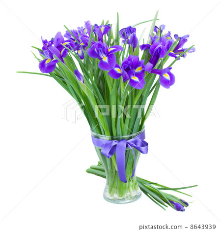 blue irise flowers in glass vase 8643939