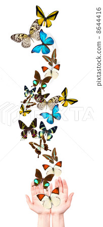 butterfly on man's hand 8644416