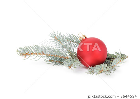 blue spruce twig with christmas ball blue spruce twig with christmas ball 8644554