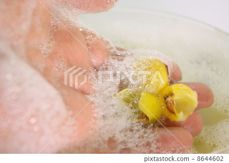 通過摩擦骸車的果實製成的氣泡 通過摩擦骸車的果實製成的氣泡 8644602