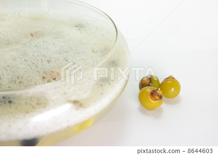 通過按摩骸車的果實和骸車的果實製成的氣泡 8644603