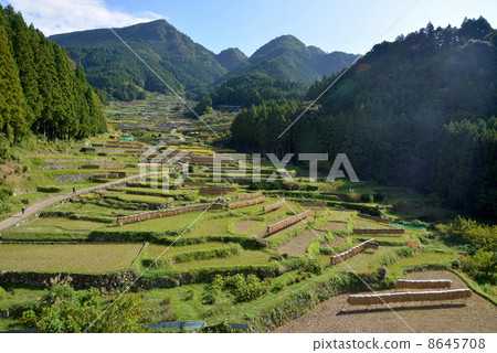 收穫時間 收穫時間 8645708