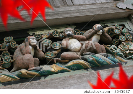 三隻猴子 8645987