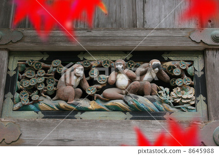 三隻猴子 8645988