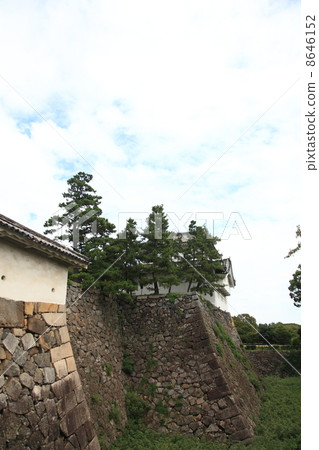 Nagoya Castle Ishigaki 8646152