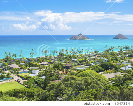 Lanikai / residential area and beach 8647214