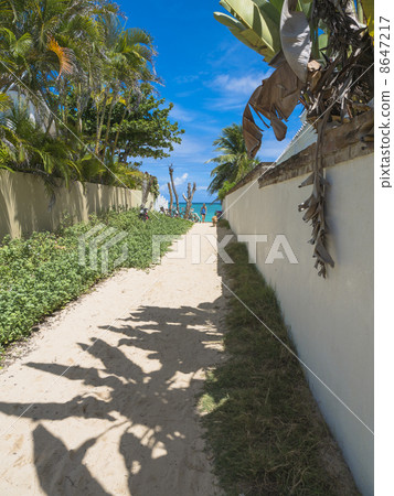 通往天堂的小路 通往天堂的小路 8647217