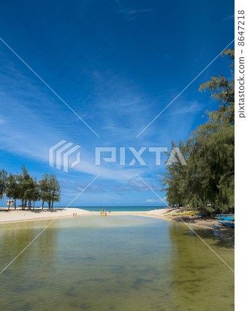 河/拉尼凱海灘 8647218