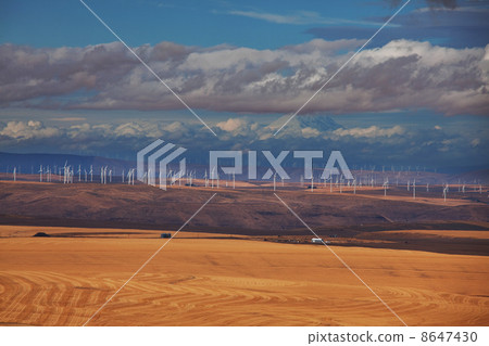 American prairie 8647430