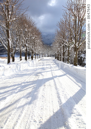 Snow removed by snow 8647643