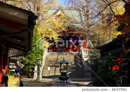 Mt. Machidai (Asakusa, Taito-ku, Tokyo) Mt. Machidai (Asakusa, Taito-ku, Tokyo) 8647991