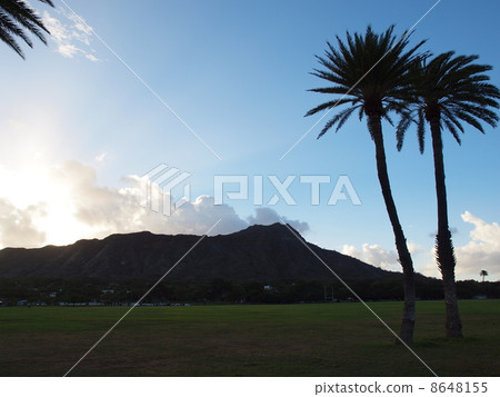 清晨卡皮歐拉尼公園 8648155