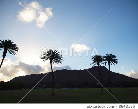 清晨卡皮歐拉尼公園 8648156