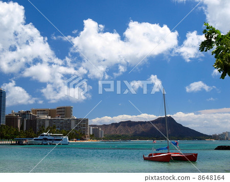 夏威夷威基基 8648164