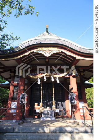 Tokyo / Shiba Toshogu Shrine Tokyo / Shiba Toshogu Shrine 8648580