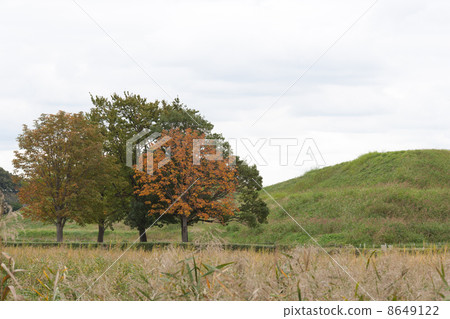 Autumn scenery 8649122