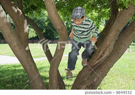 Summer plays 8649532