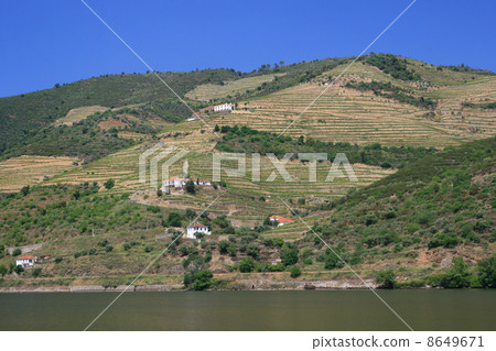 view on vineyards in Douro view on vineyards in Douro 8649671