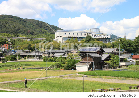 島本町 島本町 8650666